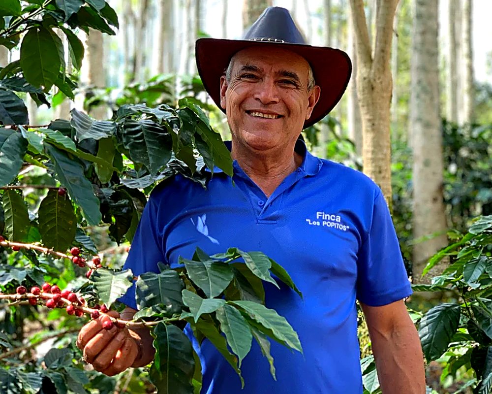 Uno de los dueños de Finca Los Popitos revisando el punto de maduración del café
