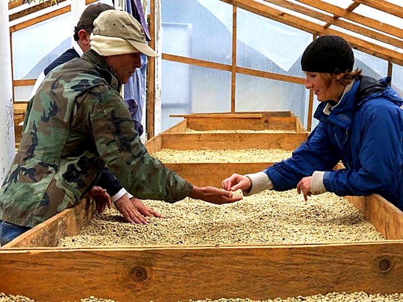 Patio de secado de Finca Los Popitos, con el café en pergamino sobre camas elevadas