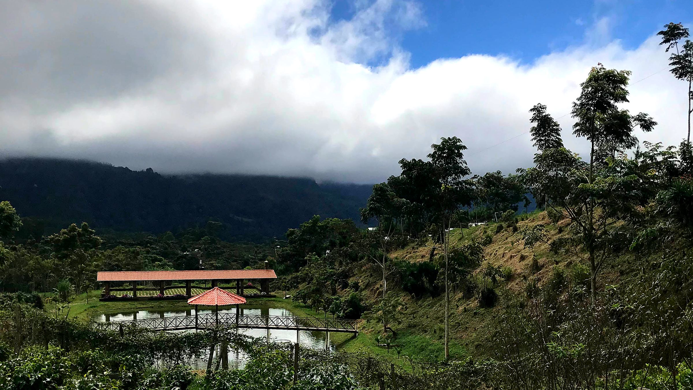 Finca Los Popitos en la Aldea Capucas, San Pedro Copán, Honduras